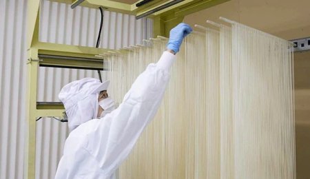 【分享】手延面（手工挂面）全解读